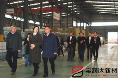 爨麗敏市長一行蒞臨寶潤達(dá)視察上市工作開展情況